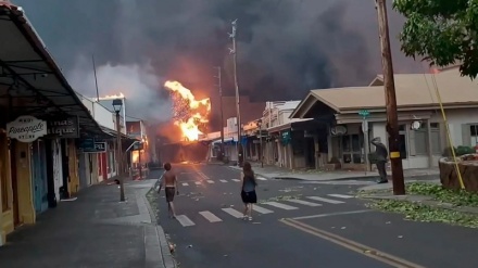 Me dhjetëra të plagosur në zjarrin që shpërtheu në Havai të Amerikës/Foto