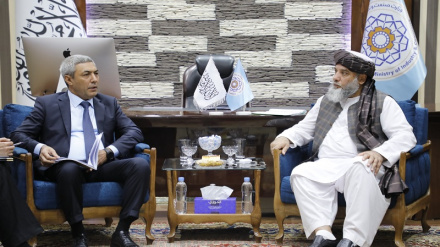 د طالبانو د سوداګرۍ له سرپرست وزیر سره د ازبیکستاني پلاوي لیدنه