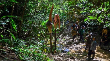 Le piu' belle foto di animali selvaggi- 2