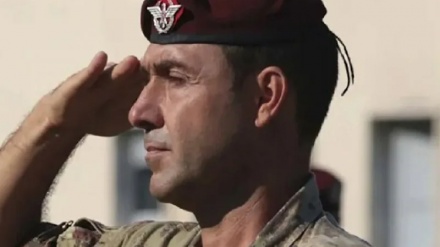 Итальянского чиновника отстранили с должности из-за критики гомосексуалистов