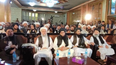 علمای شیعه به رسمیت شناختن مذهب جعفری را در افغانستان خواستار شدند