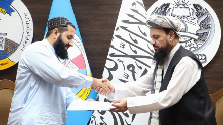 د کابل په تره خېلو کې د لس میګاواټه لمریزې برېښنا د تولید تړون لاسلیک شو.
