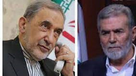 Iran: Conversazione telefonica tra Velayati e Al-Nakhleh