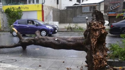 Typhoon Khanun kills two in Japan as 166,000 homes lose power