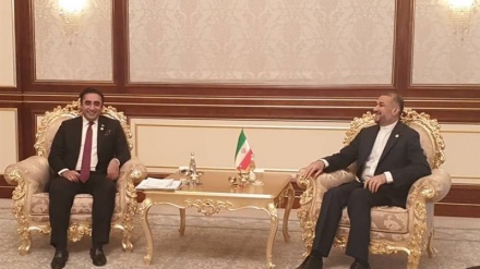 阿米尔·阿卜杜拉希扬强调：伊朗和巴基斯坦的贸易额将增至50亿欧元