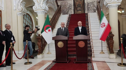 Акцент Ирана и Алжира на развитие двусторонних экономических и международных отношений