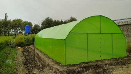 په کندز کې لسګونه اړمنو کورنیو ته شنې خونې جوړې شوي