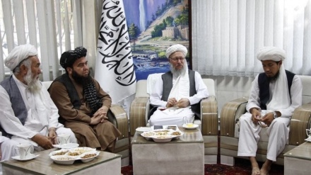  حنفی: دسترسی به تعلیم و تربیت از حقوق مردم افغانستان است