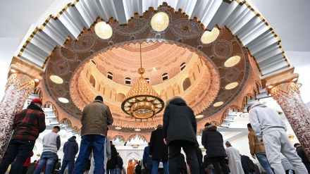 Резкое повышение антиисламских эксцессов в Германии