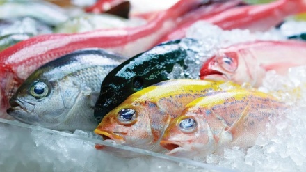 タイ王国消費者保護委員会が、日本輸出元の海産物規制強化を要求