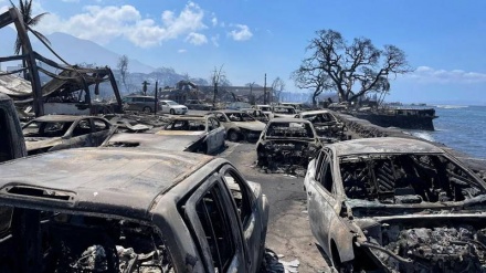 114 të vdekur dhe 850 të zhdukur nga zjarri në Havai