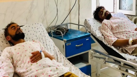 مرگ  ۷۸ نفر بر اثر ابتلا به تب کنگو در افغانستان