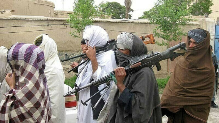 د افغانستان طالبانو په سیاسي ګوندونو باندې بندیز ولګاوه