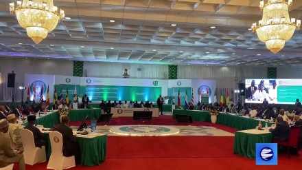 ЭКОВАС отдал приказ о вводе войск в республику Нигер