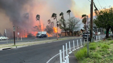 美国夏威夷山火已导致6人死亡 至少24人受伤
