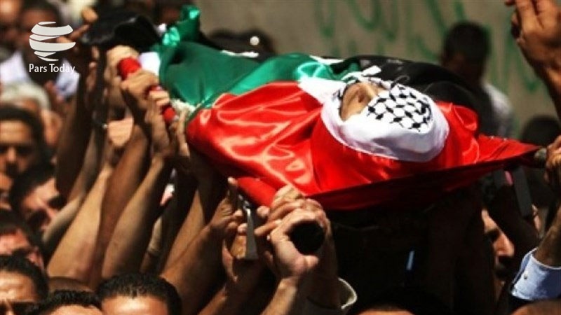 一名巴勒斯坦少年在约旦河西岸被犹太复国主义者枪杀