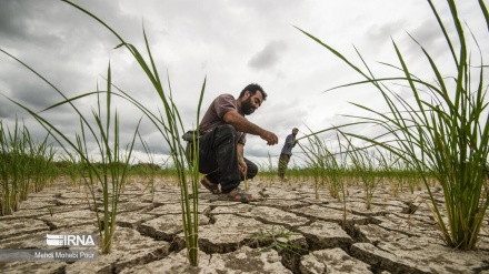 (FOTO DEL GIORNO) La terra è in pericolo