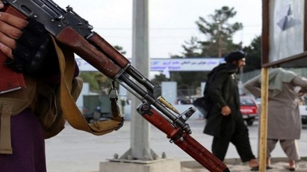 وزارت داخله طالبان: در یک سال گذشته بیش از 1500 تن کشته و زخمی شدند