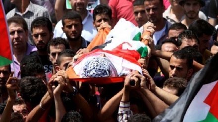इस्राईली सैनिकों की फ़ायरिंग में एक फ़िलिस्तीनी युवा शहीद