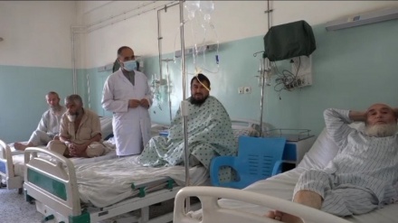 تب کنگو در افغانستان اوج گرفته است