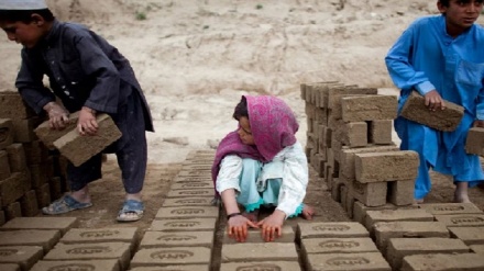 جمع آوری ۱۰ هزار کودک کار از سراسر افغانستان