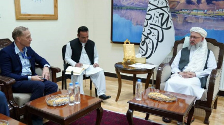 حنفی: طالبان خواهان روابط مسالمت آمیز با همه جهان است