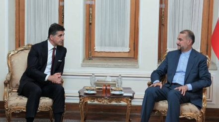 Амир-Абдуллахиан: Развитию отношений с Сербией нет предела