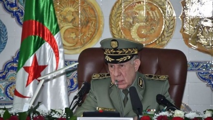 Algeria: Uingiliaji wa kijeshi nchini Niger utatishia utulilvu wa eneo zima