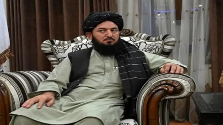 ایوبی: طالبان نمی‌خواست اشرف غنی را بکشد