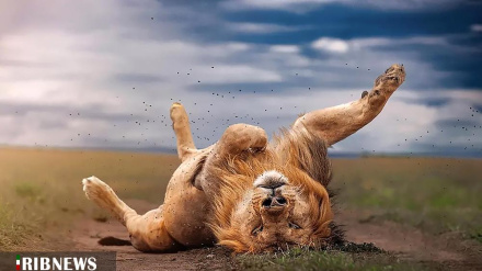 Le foto più belle della settimana- 2