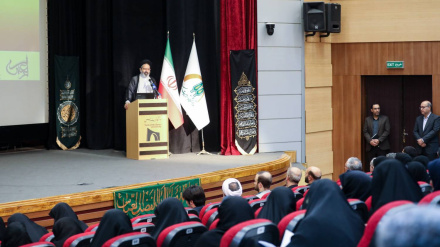 Проведение международной конференции 