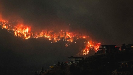 カナダ西部の森林火災で3万世帯に避難命令