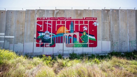 הוועדה הפלסטינית למאבק בגדר ההפרדה ובהתנחלות: עלייה במספר התקפות המתנחלים