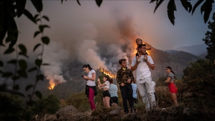 ‎Rreth 26000 njerëz i shpëtuan zjarrit në ishullin spanjoll Tenerife‎