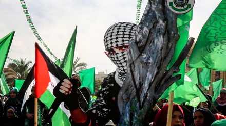 Hamasi reagon ndaj operacionit anti-sionist në perëndim të Ramallahut