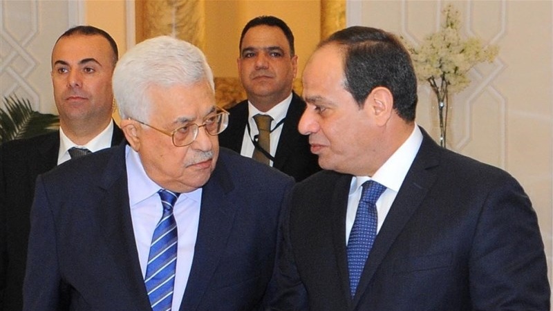 埃及和巴勒斯坦总统讨论巴民族和解等问题