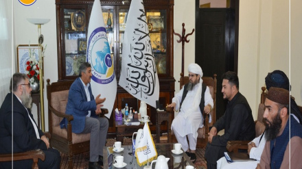 ترکي پانګوالو د نفتو او ګازو په استخراج کې د پانګونې غوښتنه کړې