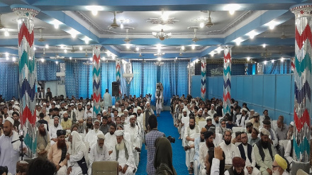 ننګرهار کې د هوسا ولس او مسئول نظام تر نامه لاندې ستره ولسي غونډه ترسره شوه