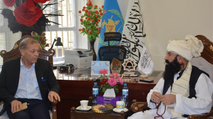 وزارت مهاجرین طالبان: نهادهای خارجی کمک‌ها را حیف و میل می‌کنند