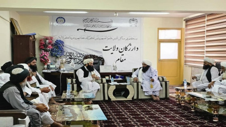 طالبان له نړۍ سره د ډيپلوماټیکو اړیکو د ټینګولو غوښتونکي دي نور حال دلته لرو