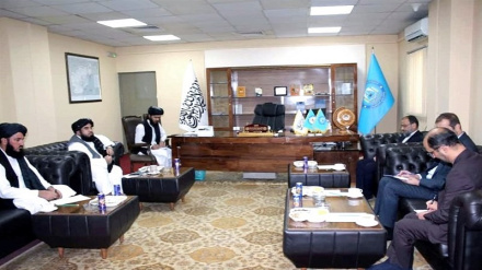 ایراني او افغان چارواکو له نشه يي توکو سره پر مبارزې ټینګار کړی