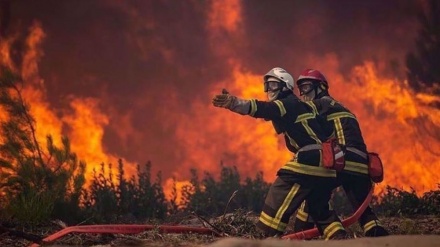 Feux de forêt en France : plus de 2 000 déplacés