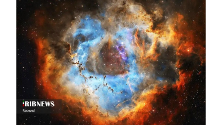(FOTO DEL GIORNO) Vedute dell'Universo catturate dal telescopio James Webb 
