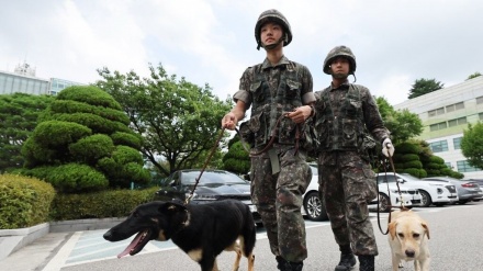 韩国警方调查第四波来自日本的“炸弹恐吓”邮件