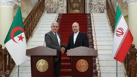 Iran, Algeria discuss expansion of int’l cooperation