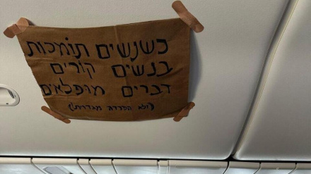 נוסעת הפגינה בטיסה מניו יורק נגד עידית סילמן שישבה שורה לפניה