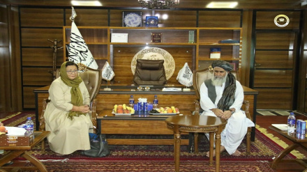 هشدار مقام سازمان ملل متحد: کاهش کمک‌ها افغانستان را دچار بحران انسانی می‌کند