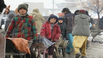 اوچا: برای کمک زمستانی به نیازمندان افغان بیش از پانصد میلیون دلار نیاز است