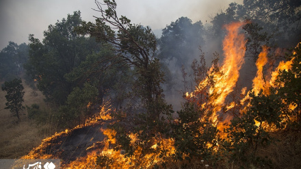  تصاویر: شعله‌هایی که آسمان «مریوان» را درنوردید