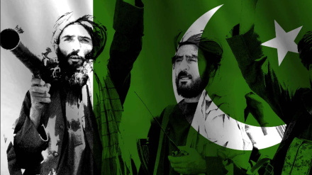 له طالبانو څخه د شهباز شریف غوښتنه